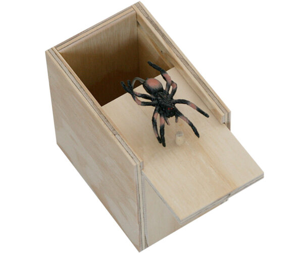 Surprise Box - Spider